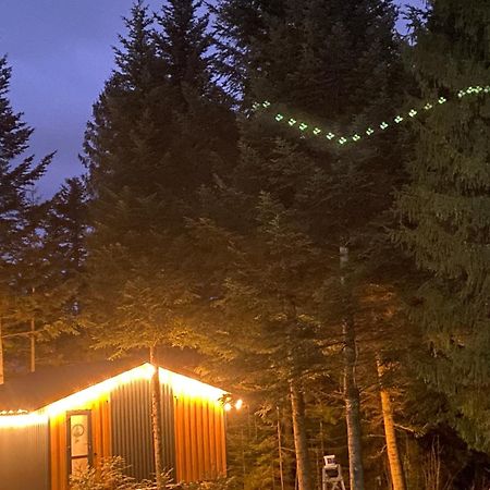 Феєрія Лісу Lejlighedshotel Skhidnytsia Eksteriør billede