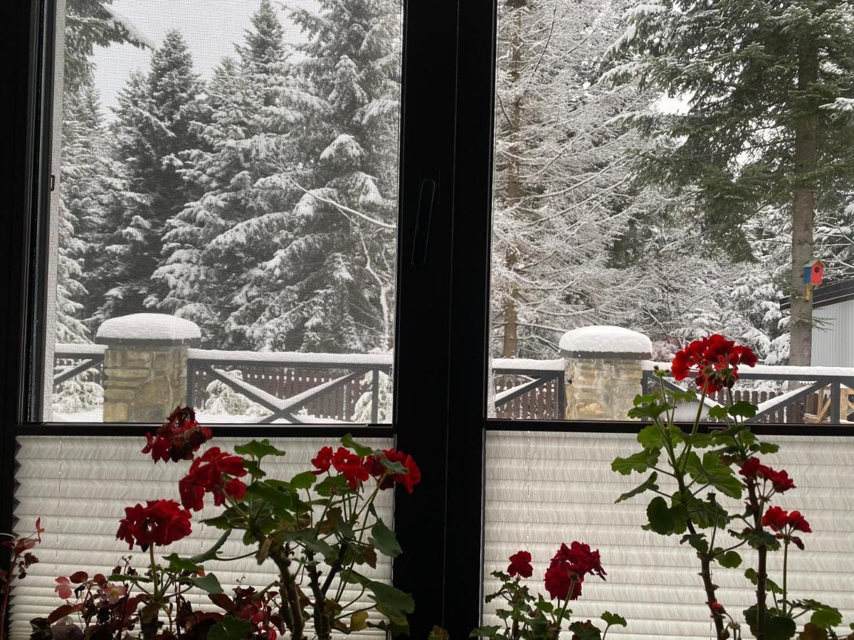 Феєрія Лісу Lejlighedshotel Skhidnytsia Eksteriør billede