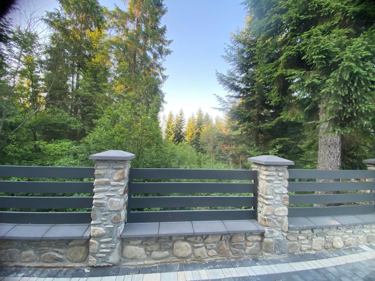 Феєрія Лісу Lejlighedshotel Skhidnytsia Eksteriør billede