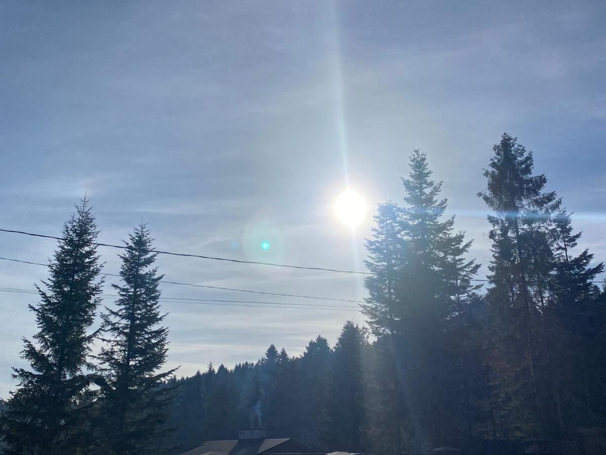 Феєрія Лісу Lejlighedshotel Skhidnytsia Eksteriør billede