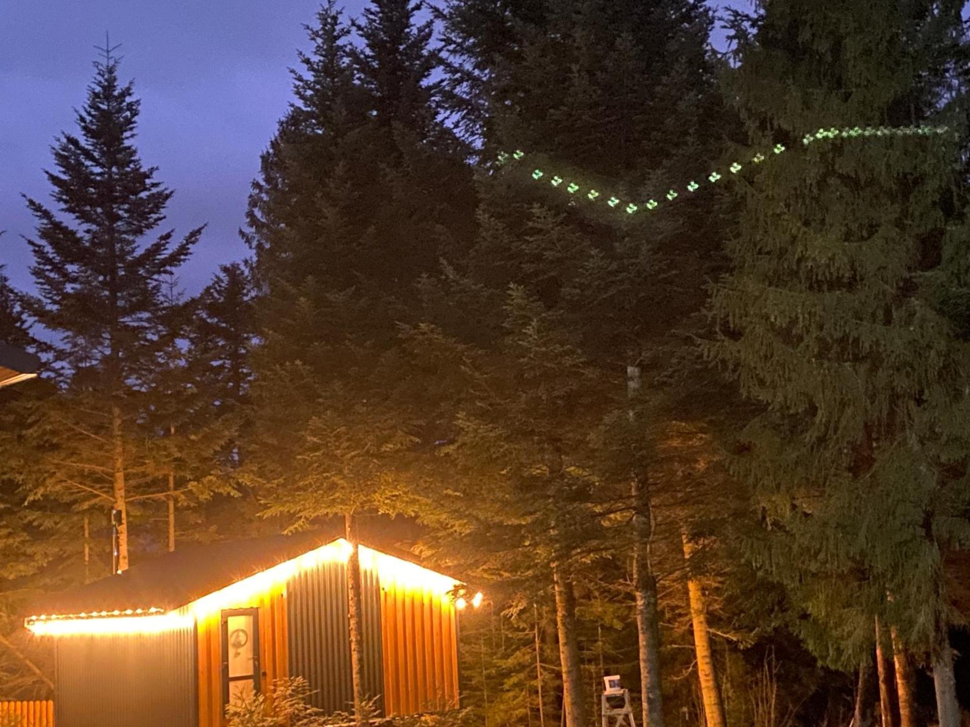 Феєрія Лісу Lejlighedshotel Skhidnytsia Eksteriør billede