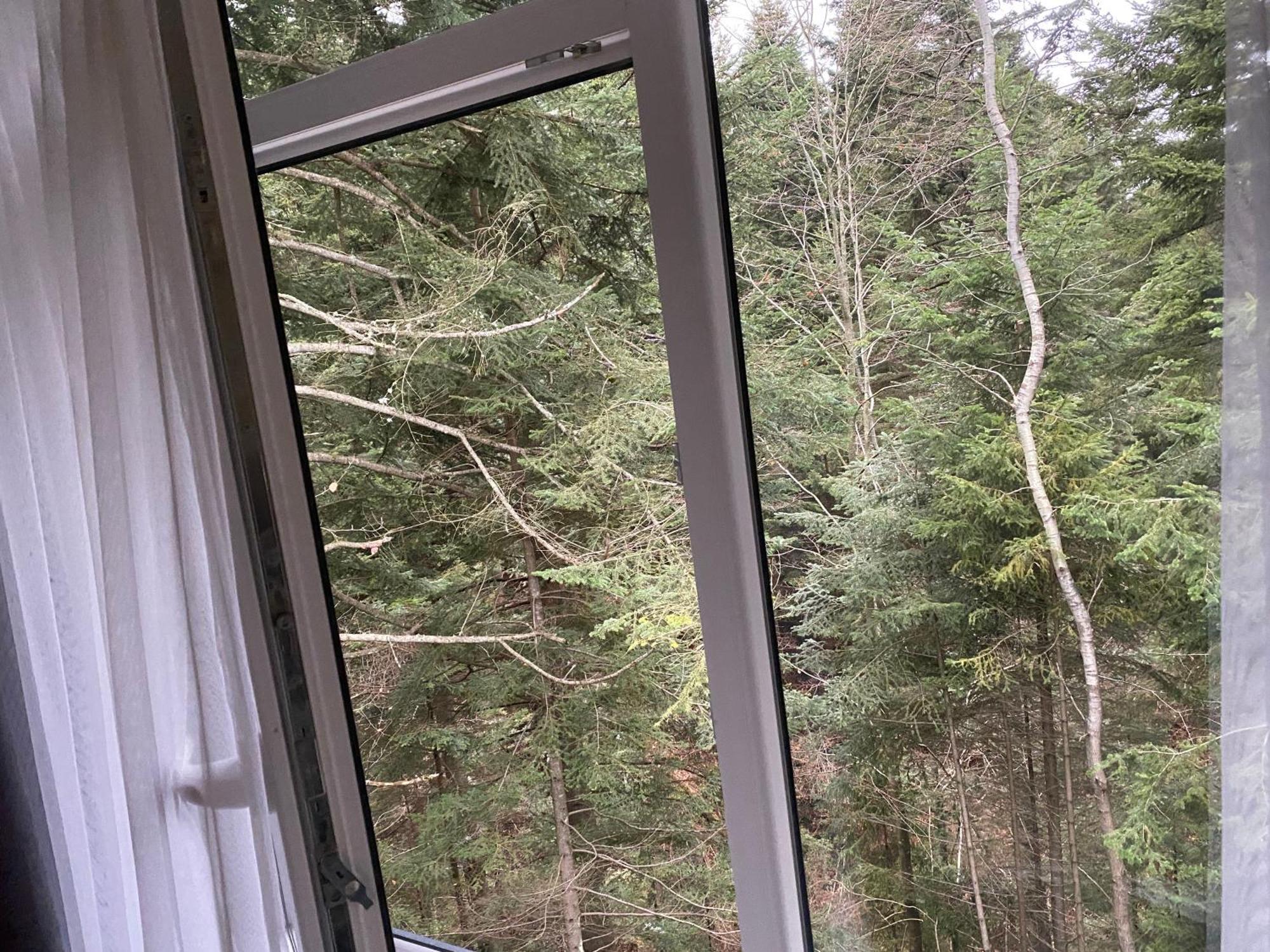 Феєрія Лісу Lejlighedshotel Skhidnytsia Eksteriør billede