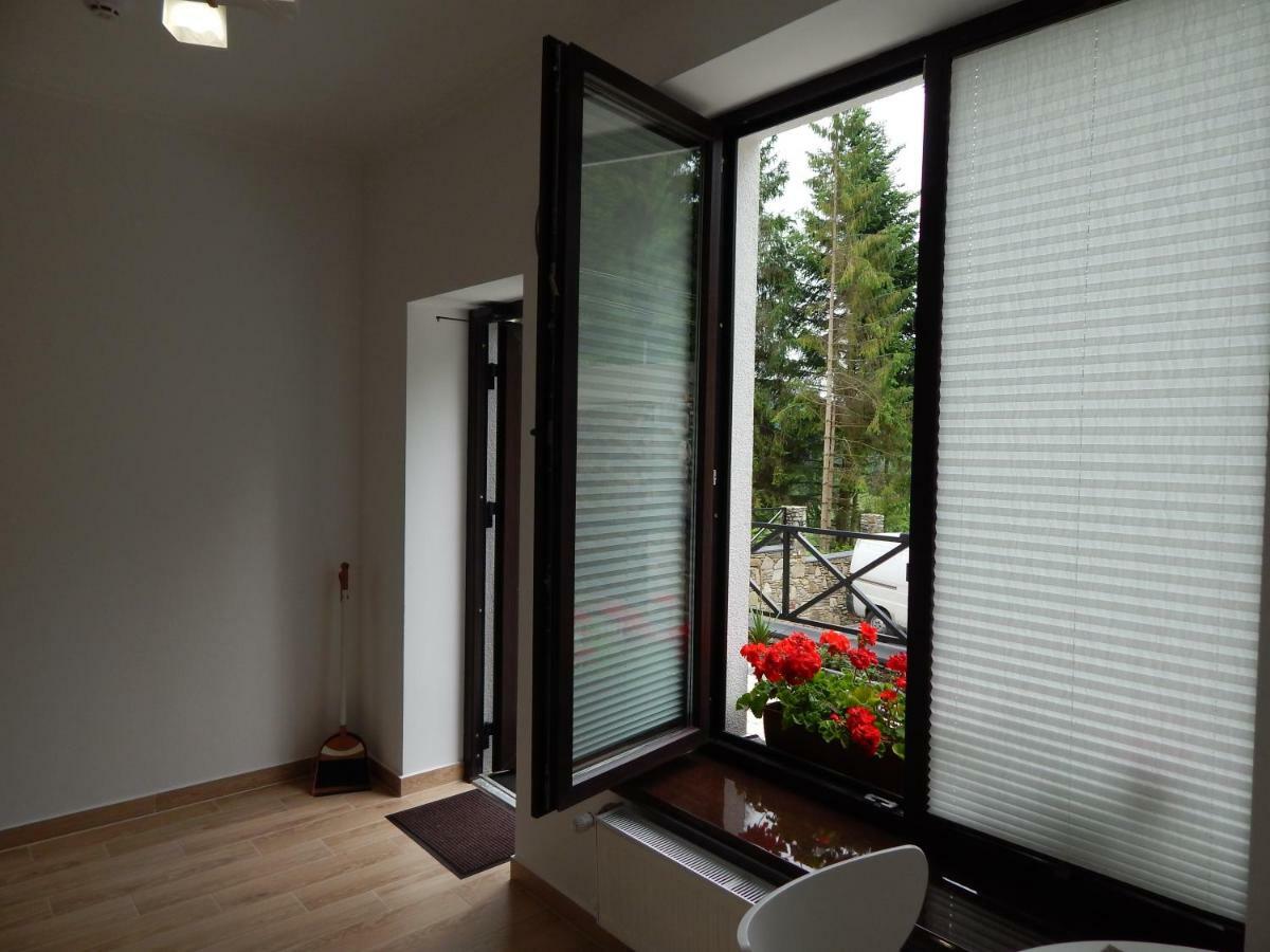 Феєрія Лісу Lejlighedshotel Skhidnytsia Eksteriør billede