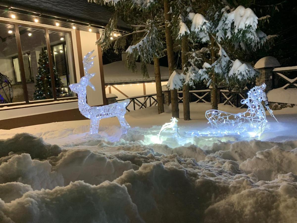 Феєрія Лісу Lejlighedshotel Skhidnytsia Eksteriør billede